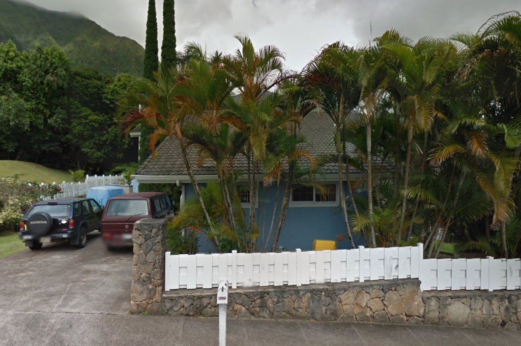 Joey's Feline Friends