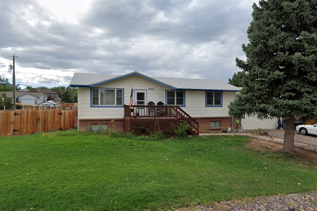 Front Range Labrador