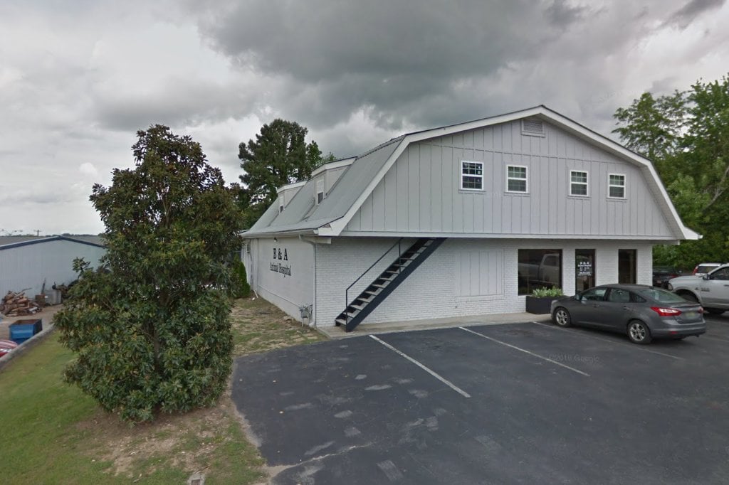 B & A Animal Hospital