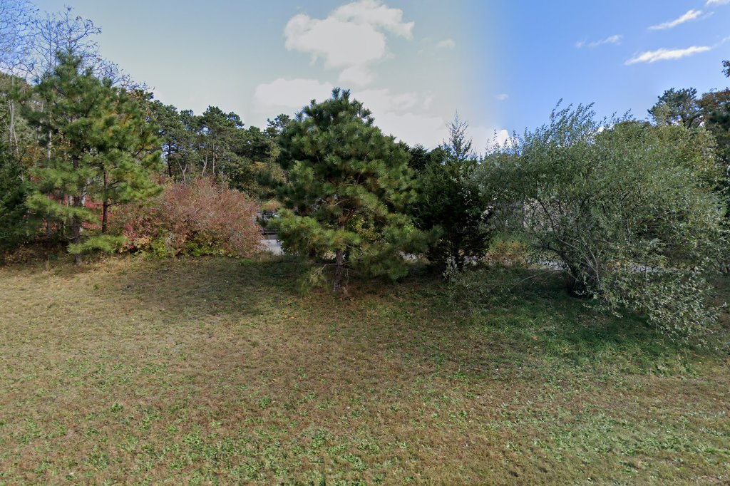 Friends of Falmouth Dogs