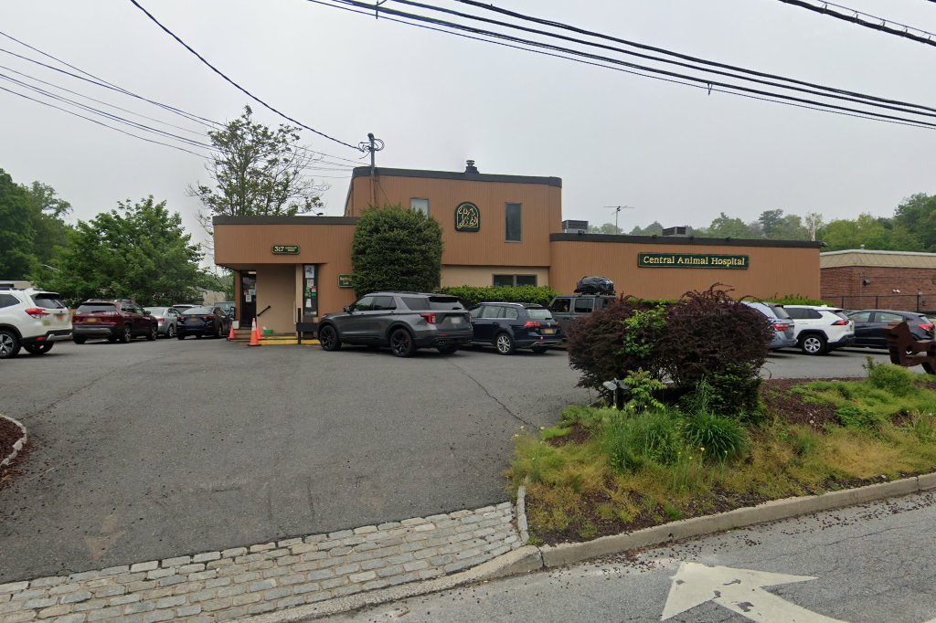 Central Animal Hospital