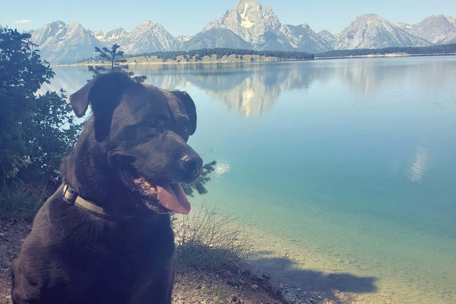 Grand County Animal Control