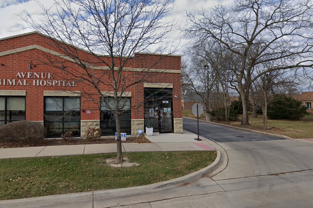 Avenue Animal Hospital