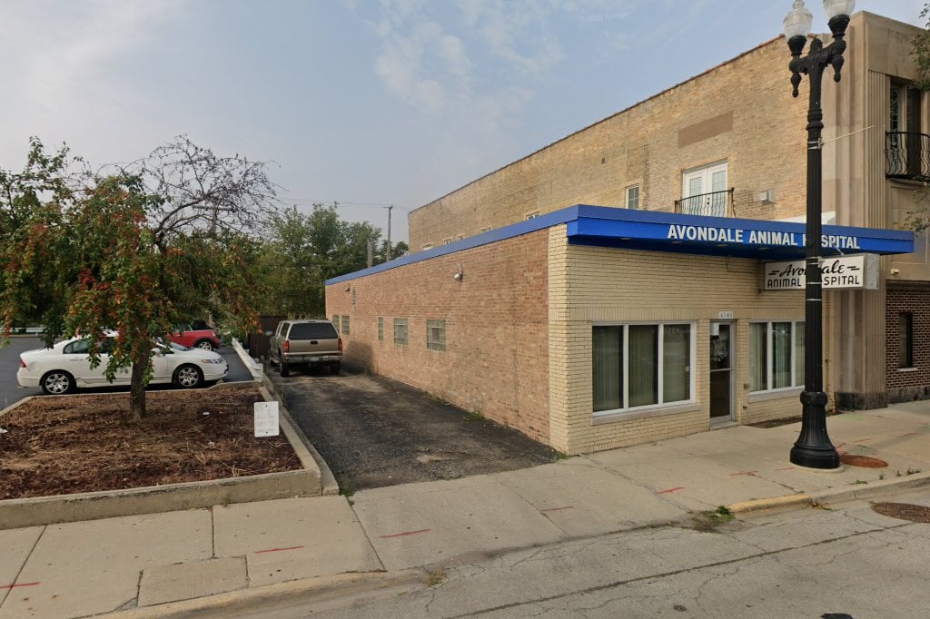Avondale Animal Hospital