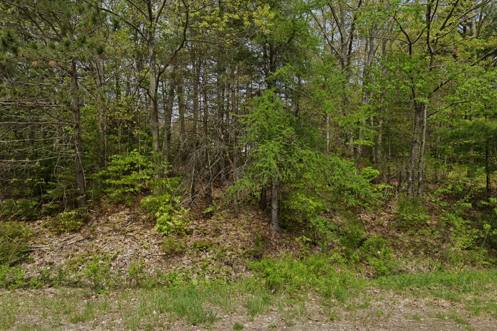 All Creatures Veterinary Hospital