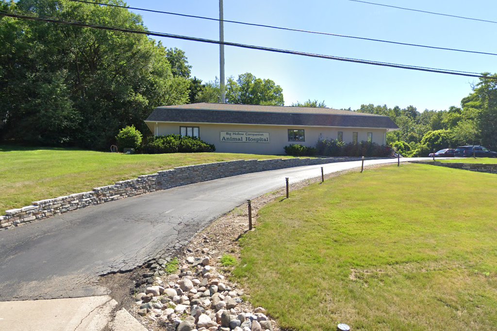 Big Hollow Companion Animal Hospital
