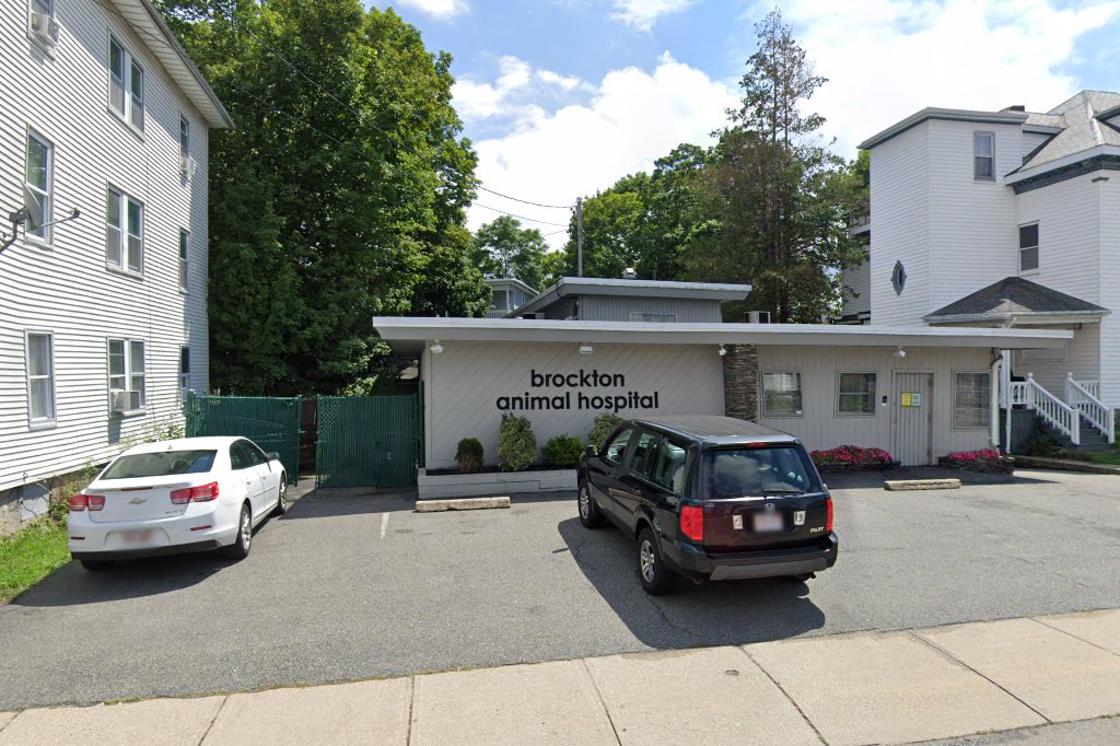 Brockton Animal Hospital