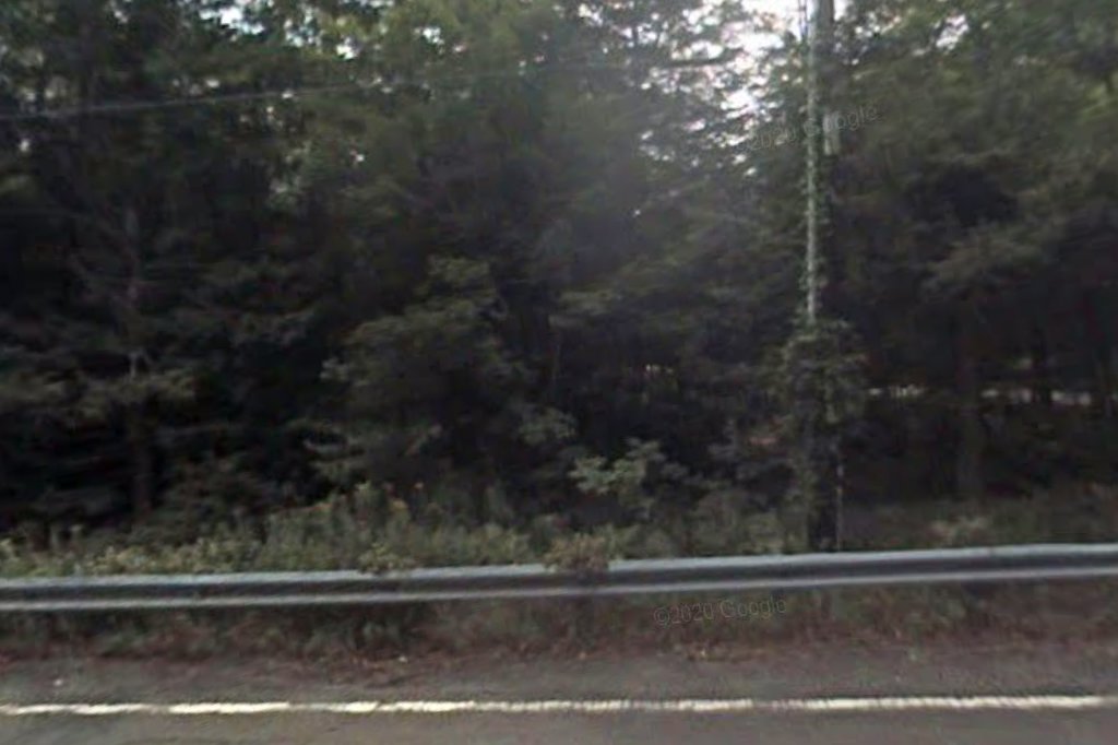 Bonnies Foster Home for Dogs