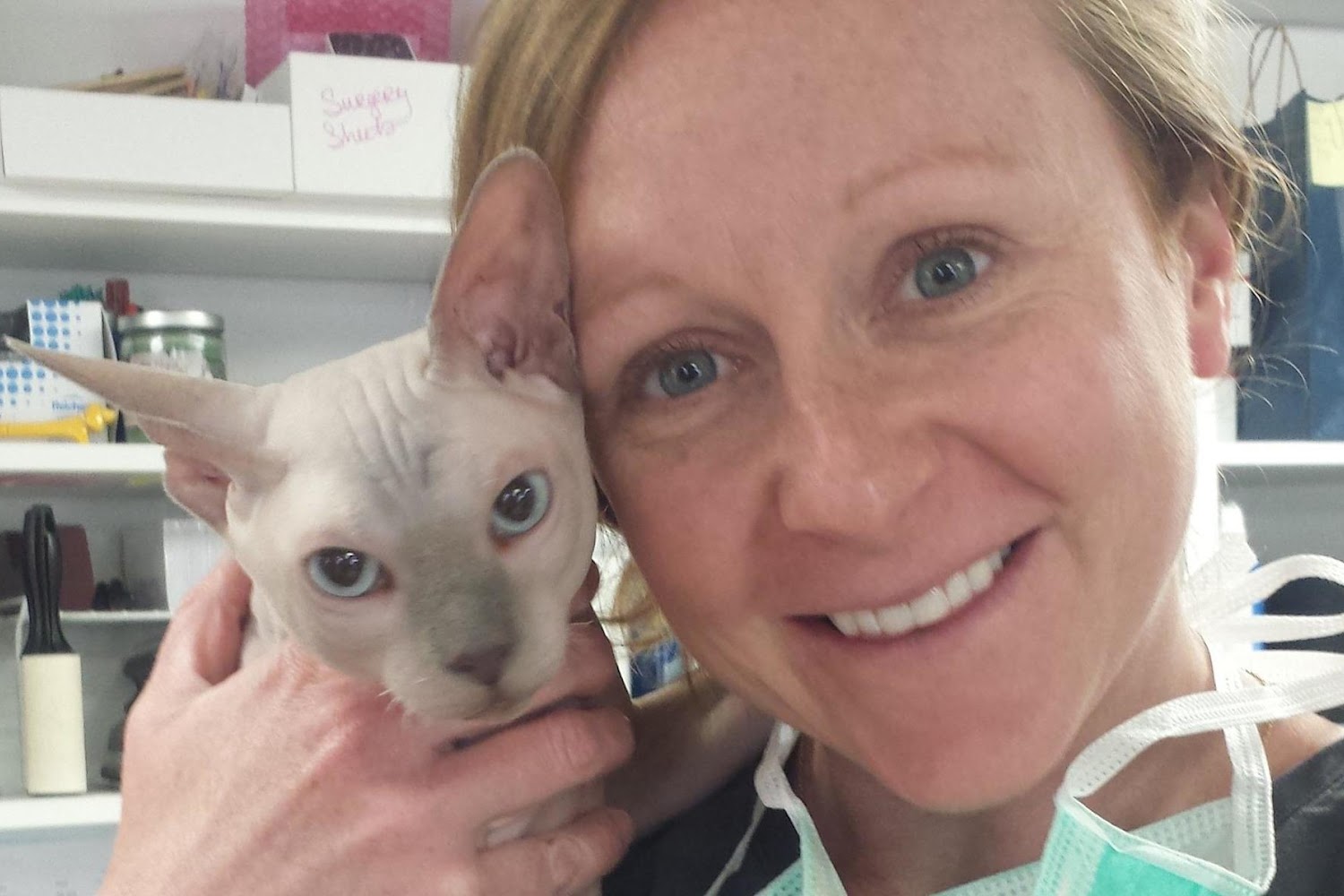 Debora Lichtenberg Veterinary Hospital