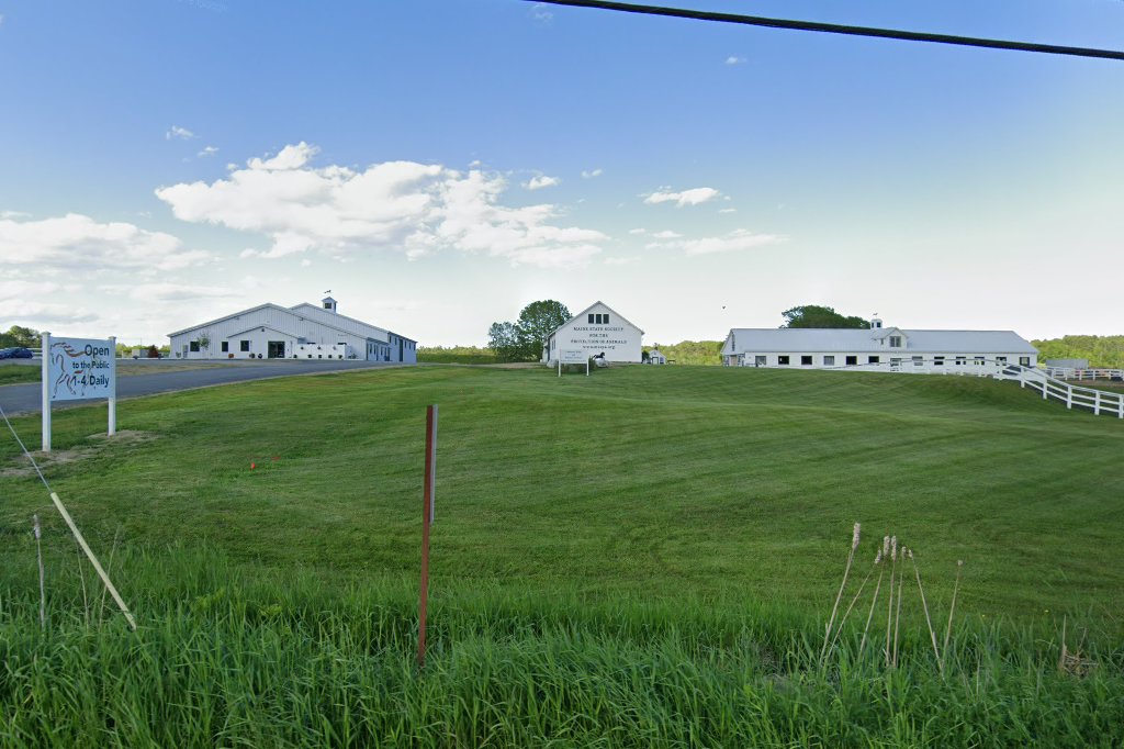 Maine State Society for the Protection of Animals