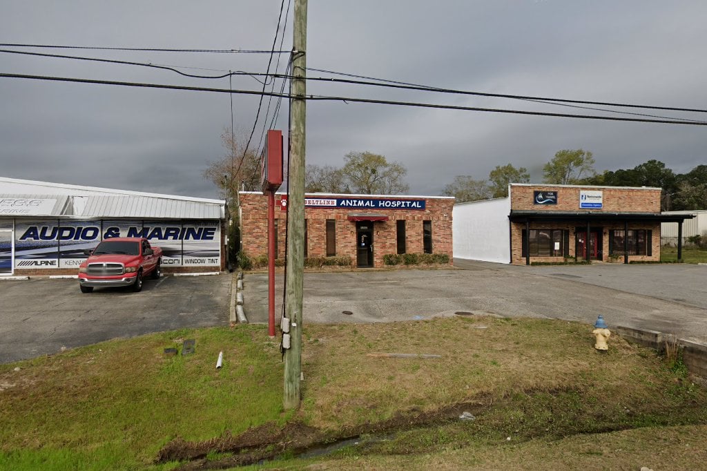 Beltline Animal Hospital