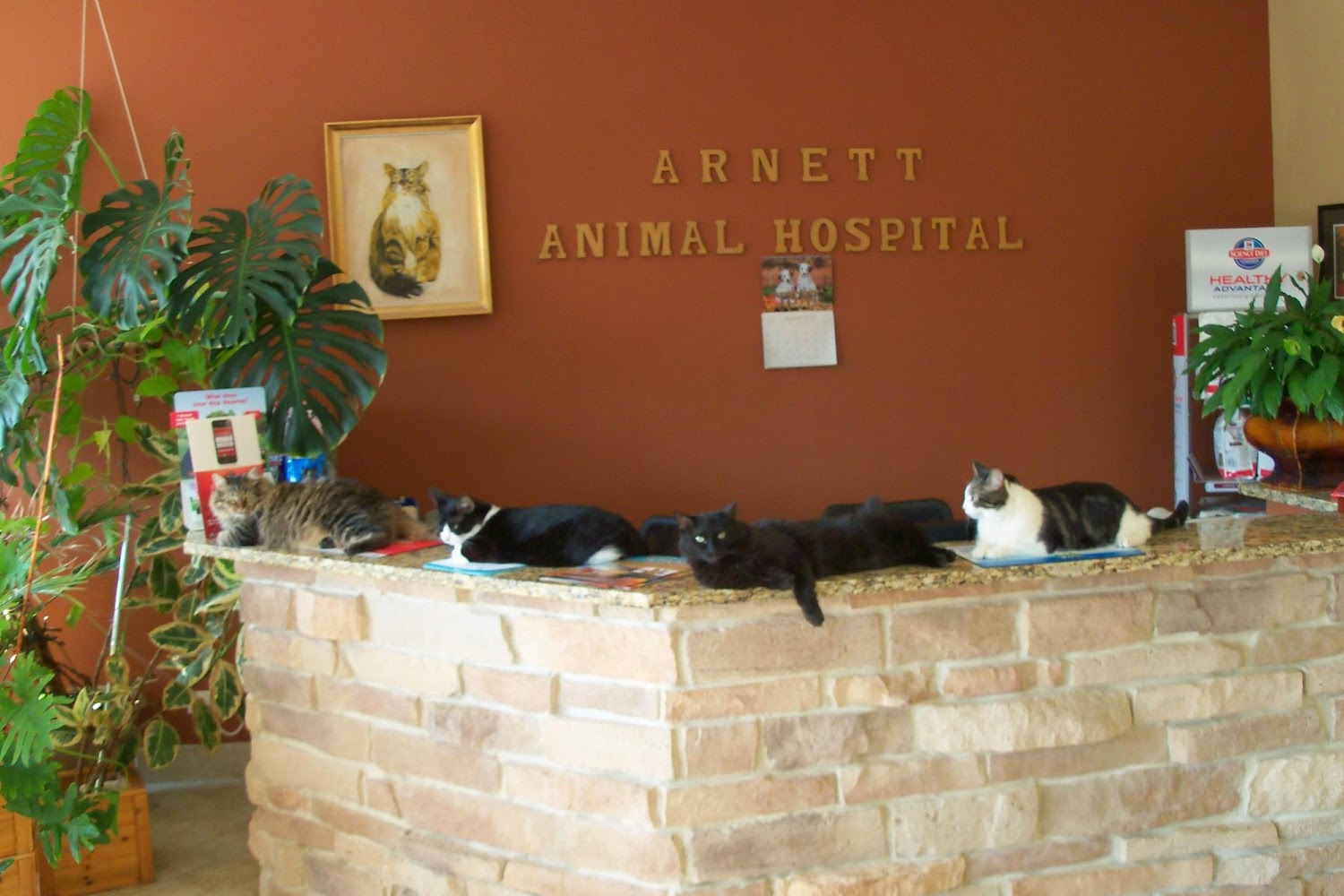 Arnett Animal Hospital