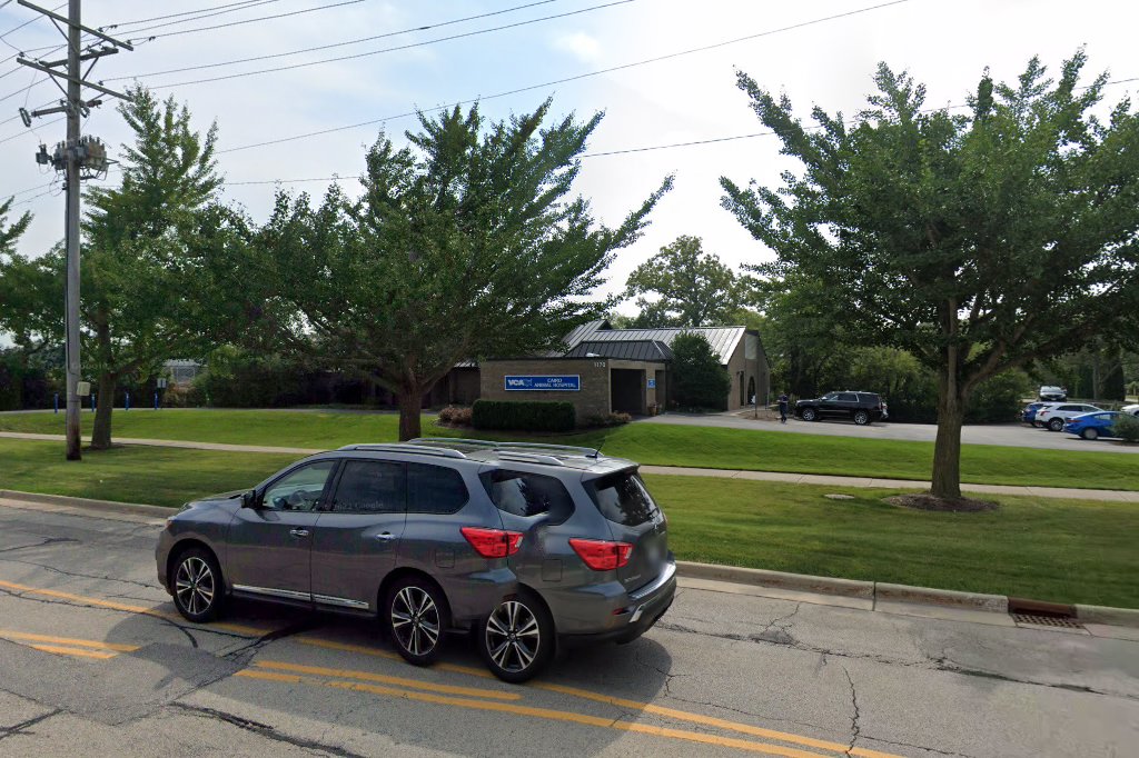 Cairo Animal Hospital