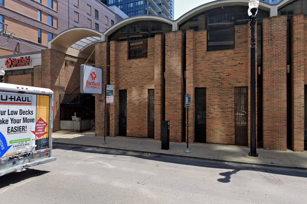 Gold Coast Animal Hospital