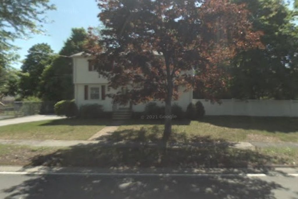 German Shorthaired Pointer Rescue of New England