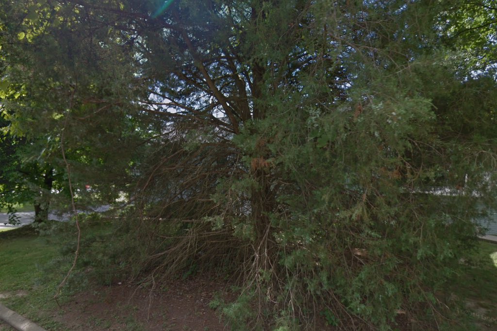 Franklin County Animal Hospital