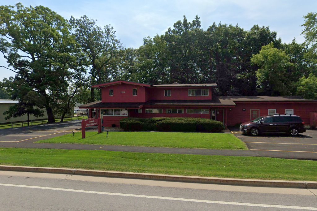 Harbor Animal Hospital