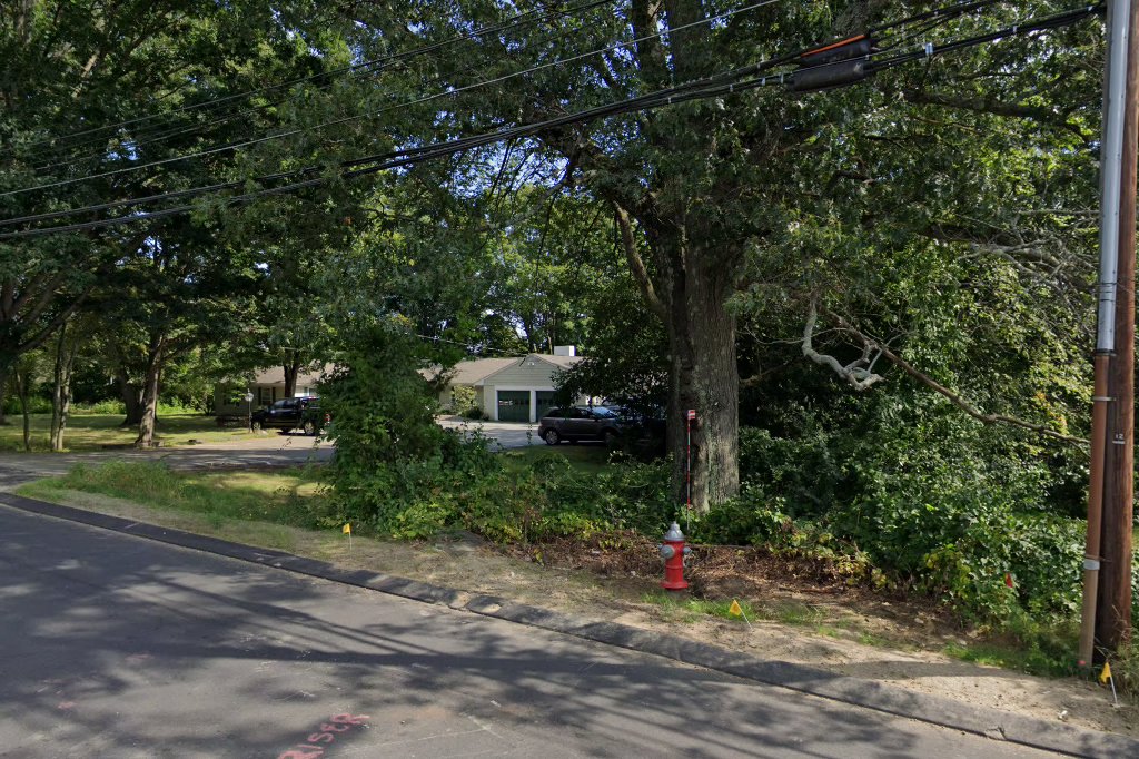 Concord Animal Hospital