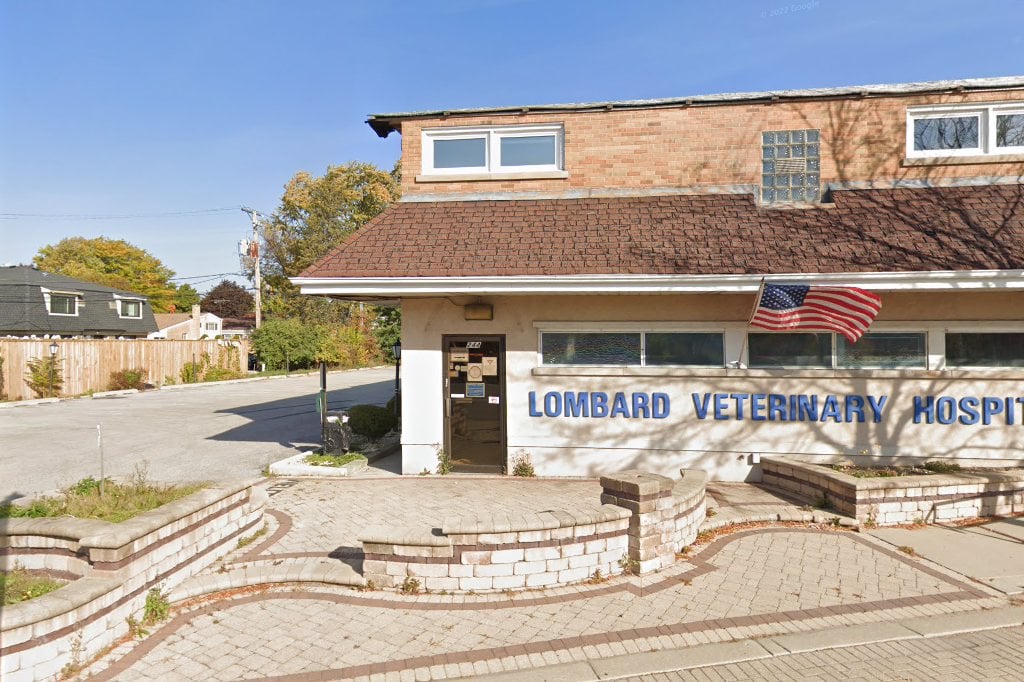 Lombard Veterinary Hospital