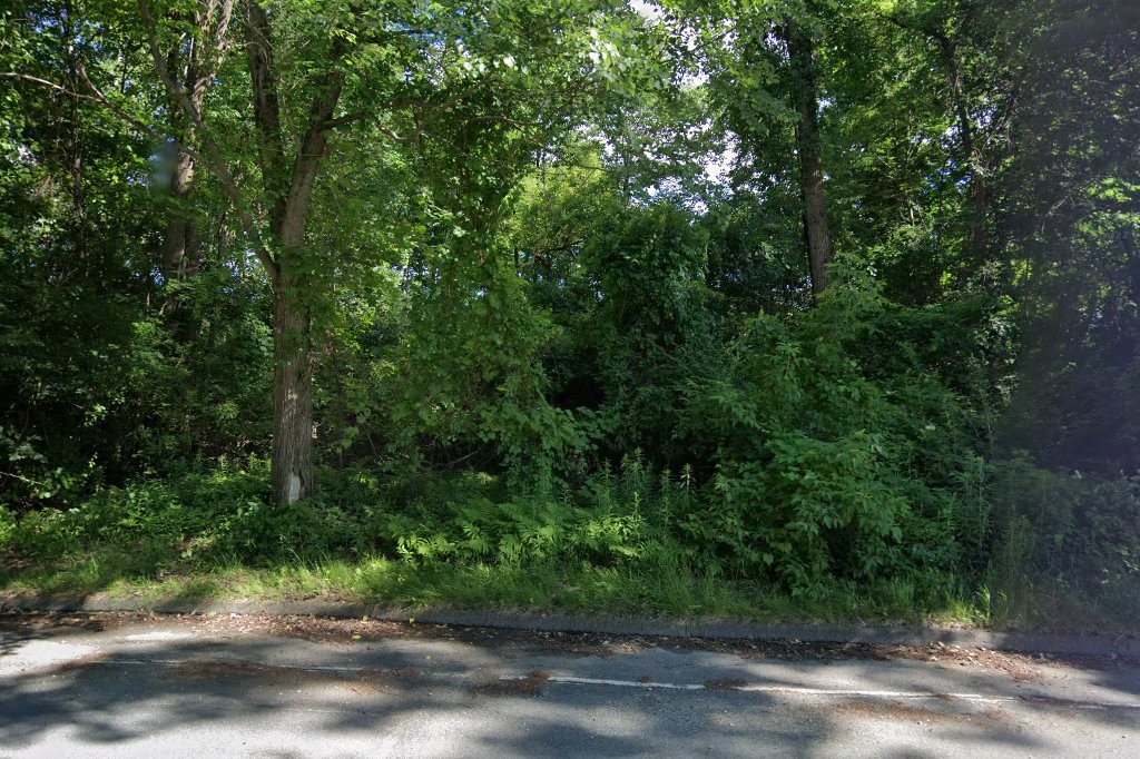 Eleanor Sonsini Animal Shelter