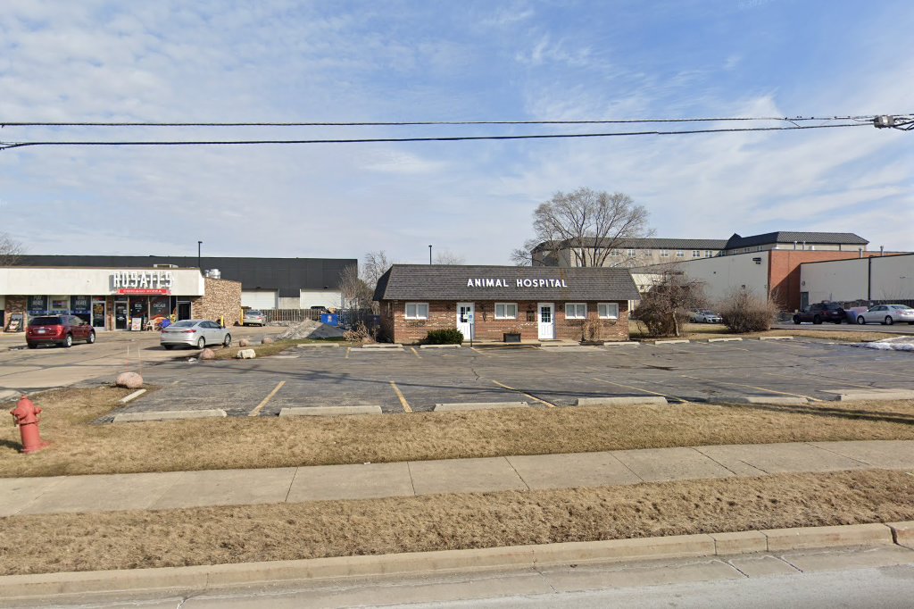 Rohlwing Road Animal Hospital