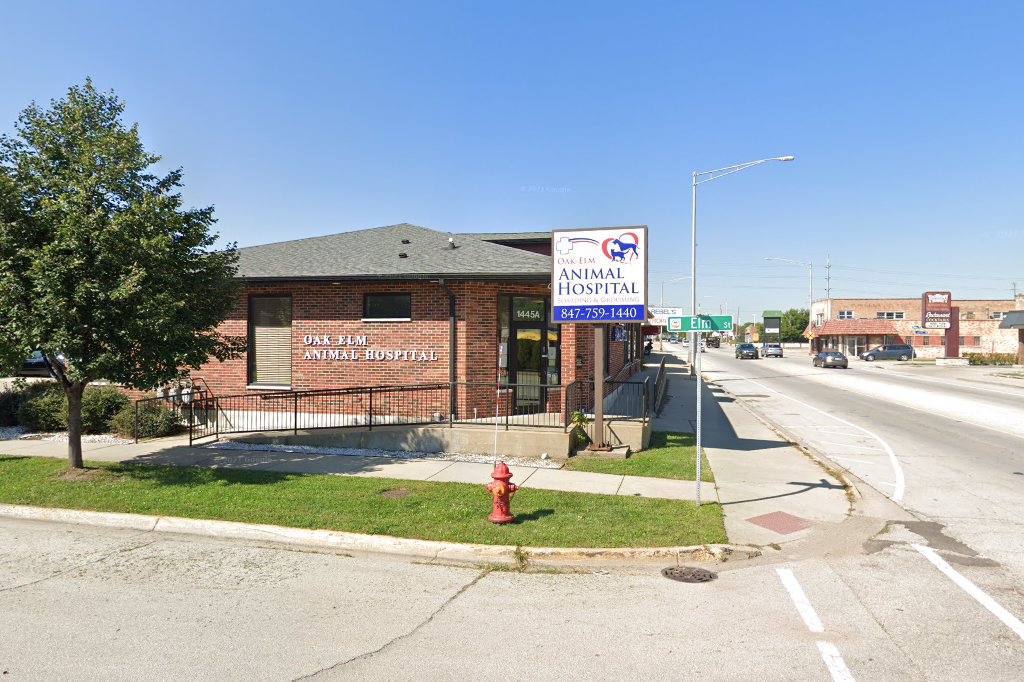 Oak Elm Animal Hospital