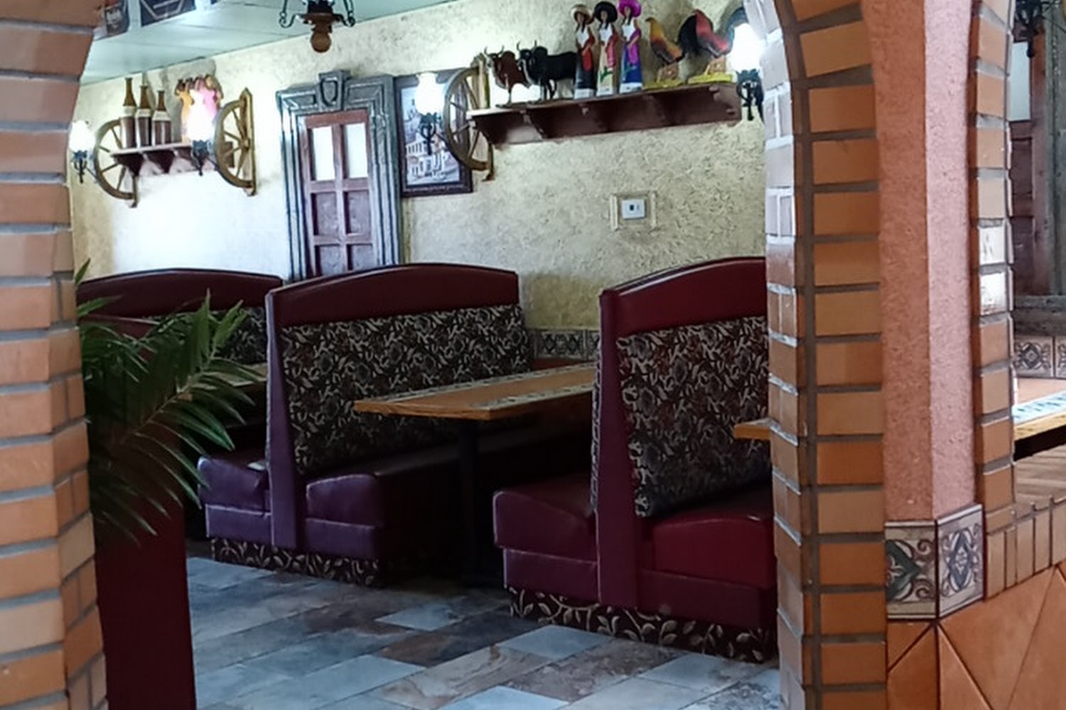 Conifer Veterinary Hospital