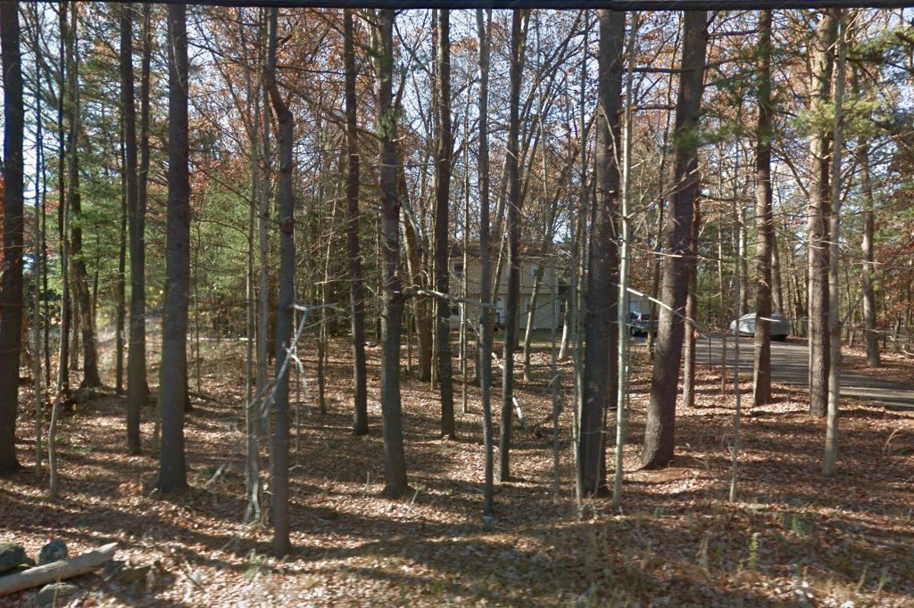 Sterling Animal Shelter