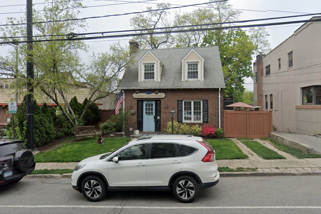 Larchmont Animal Hospital