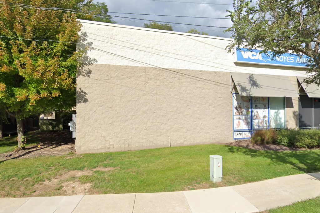 VCA Noyes Animal Hospital