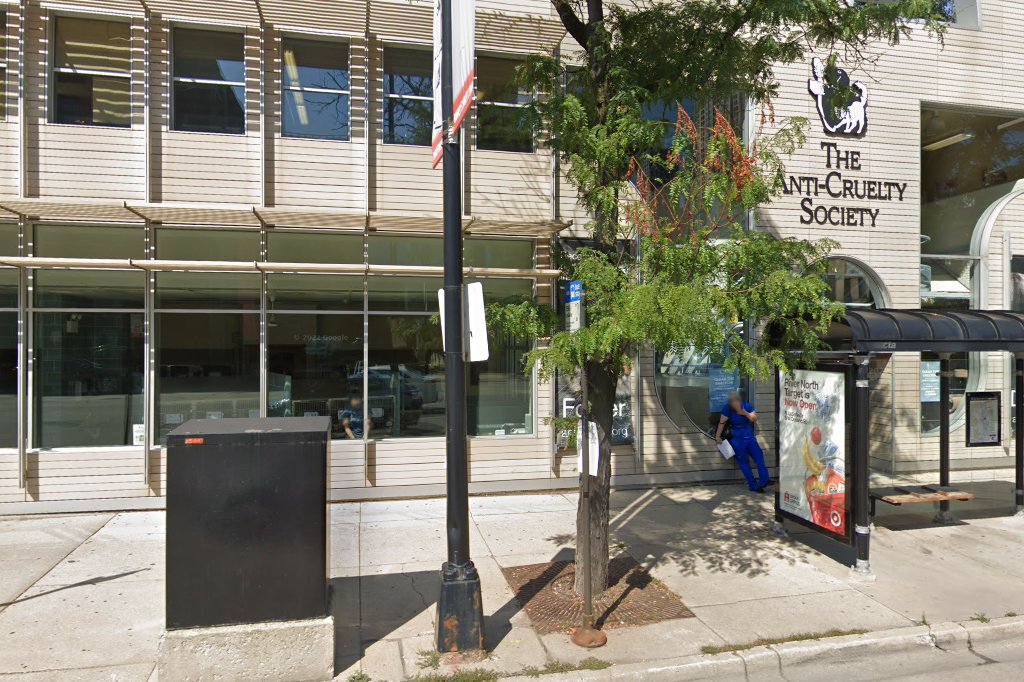 The Anti-Cruelty Society