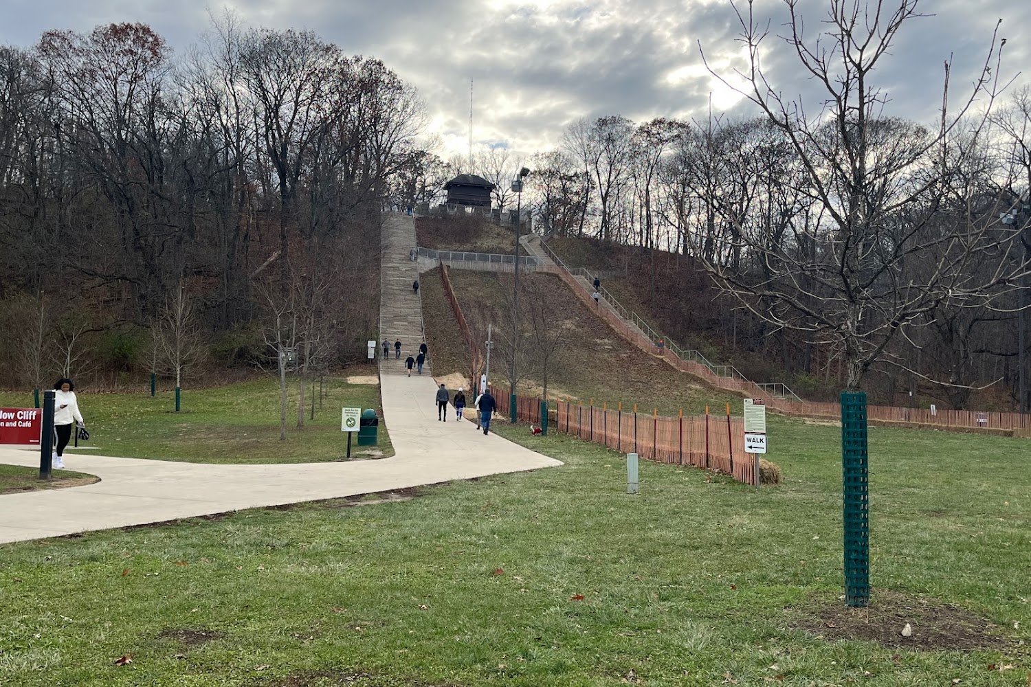 Animals for Awareness