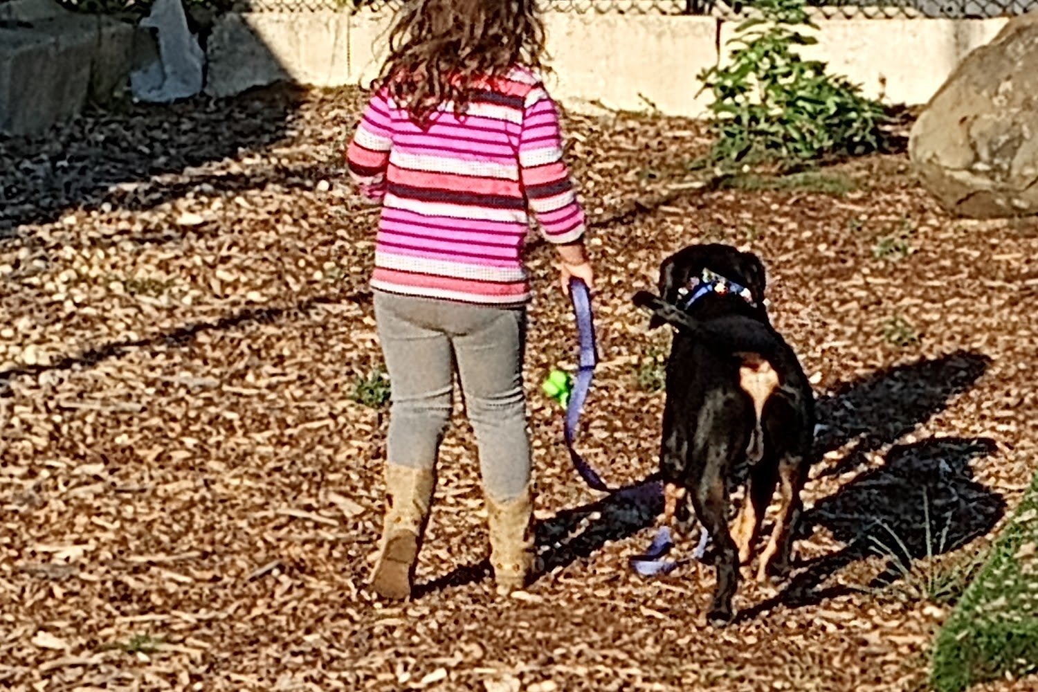 Winnebago County Animal Services