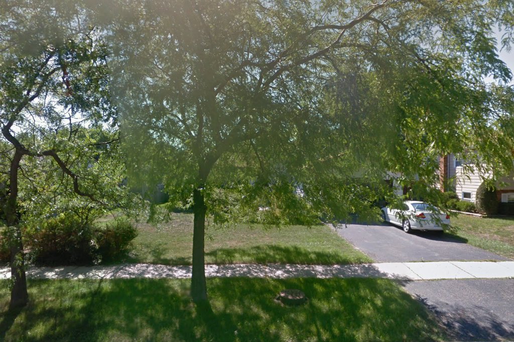 Greyhounds Only, Inc.