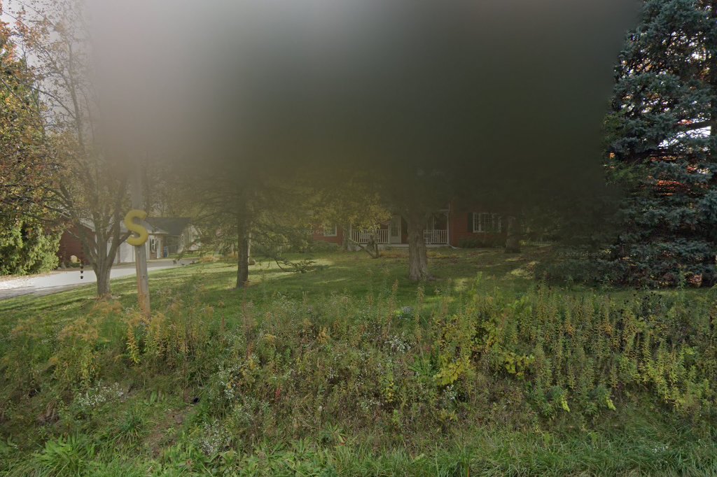 Scottish Terrier Club of Chicago Rescue