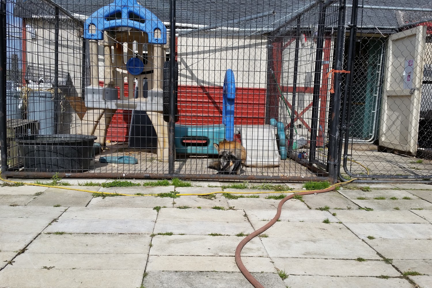 Beecher Animal Shelter