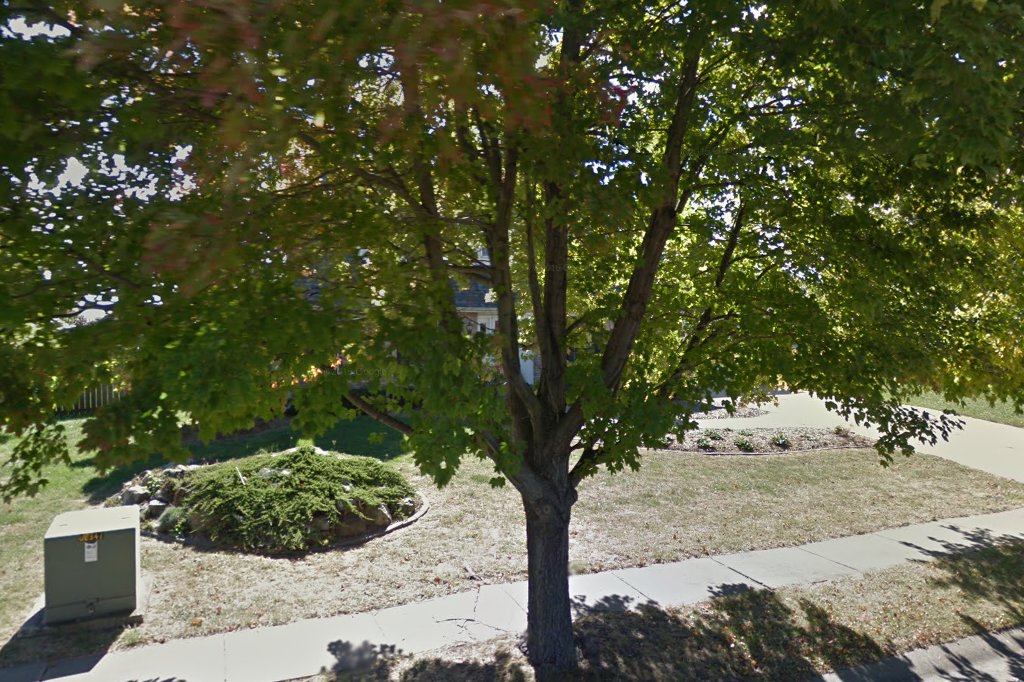 Forever Home Feline Ranch