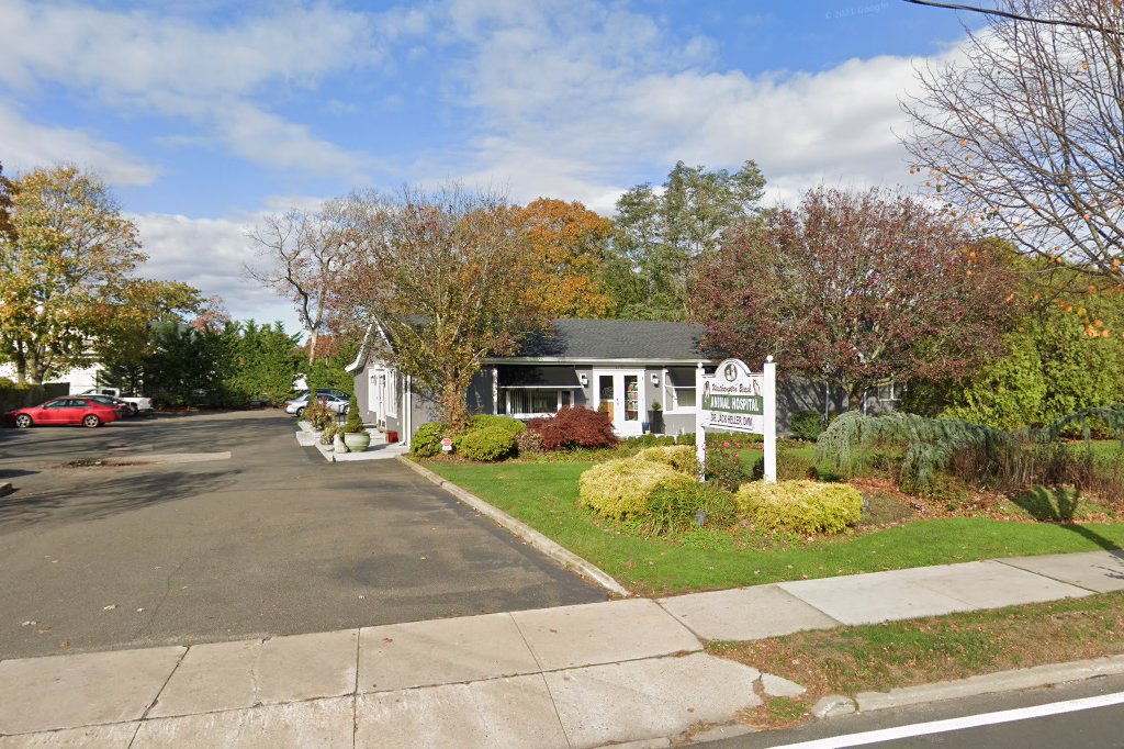 Westhampton Beach Veterinary