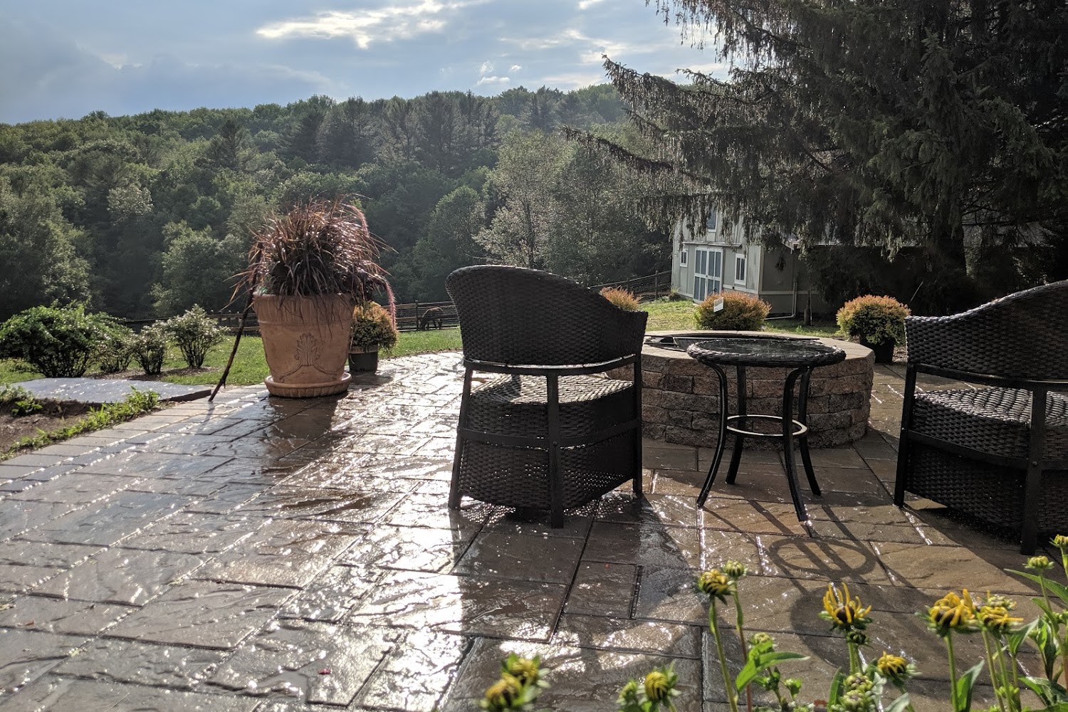 Leicester Animal Control