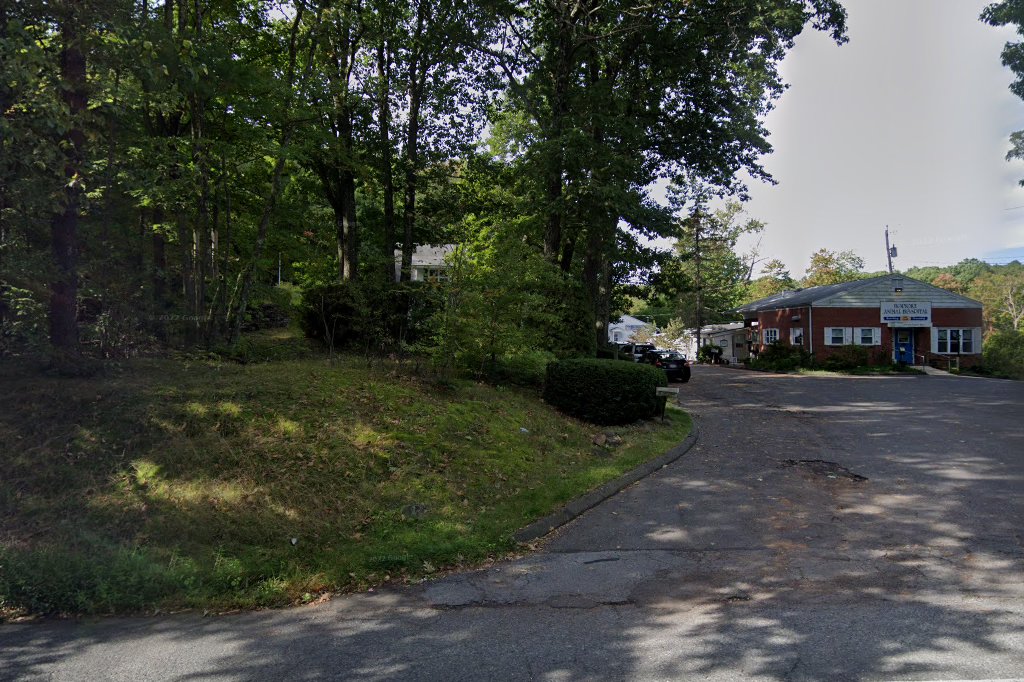 Holyoke Animal Hospital