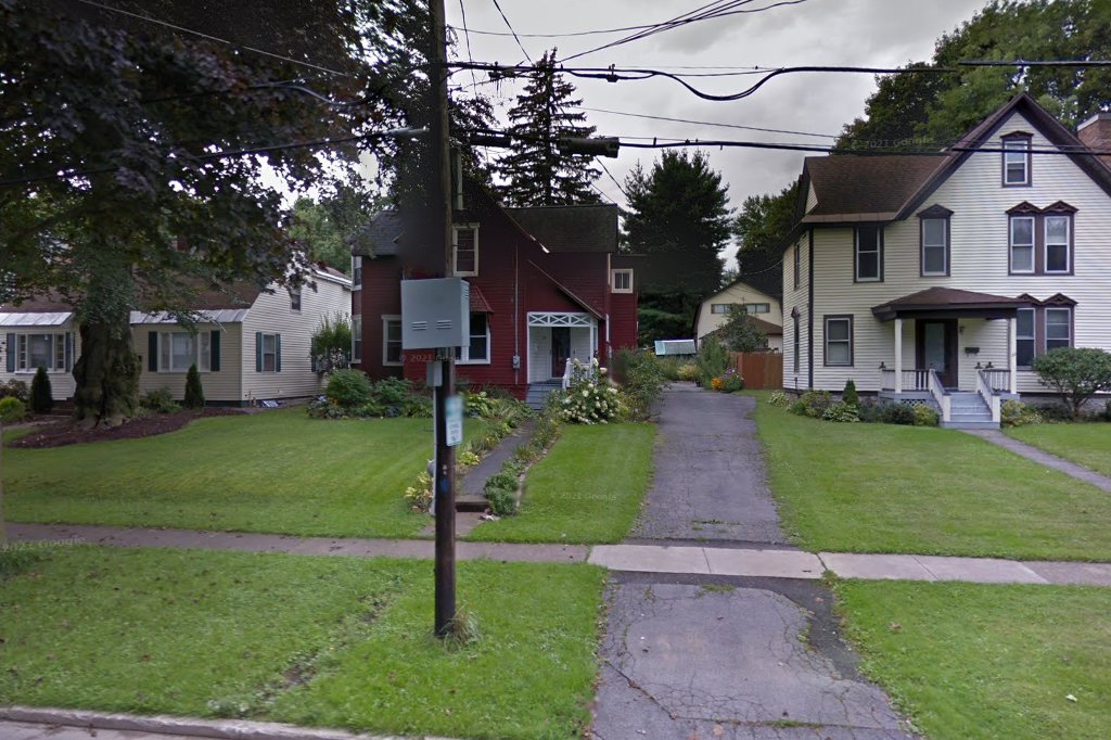 House Rabbit Society