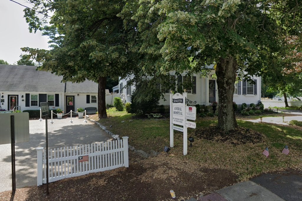 Kingston Animal Hospital