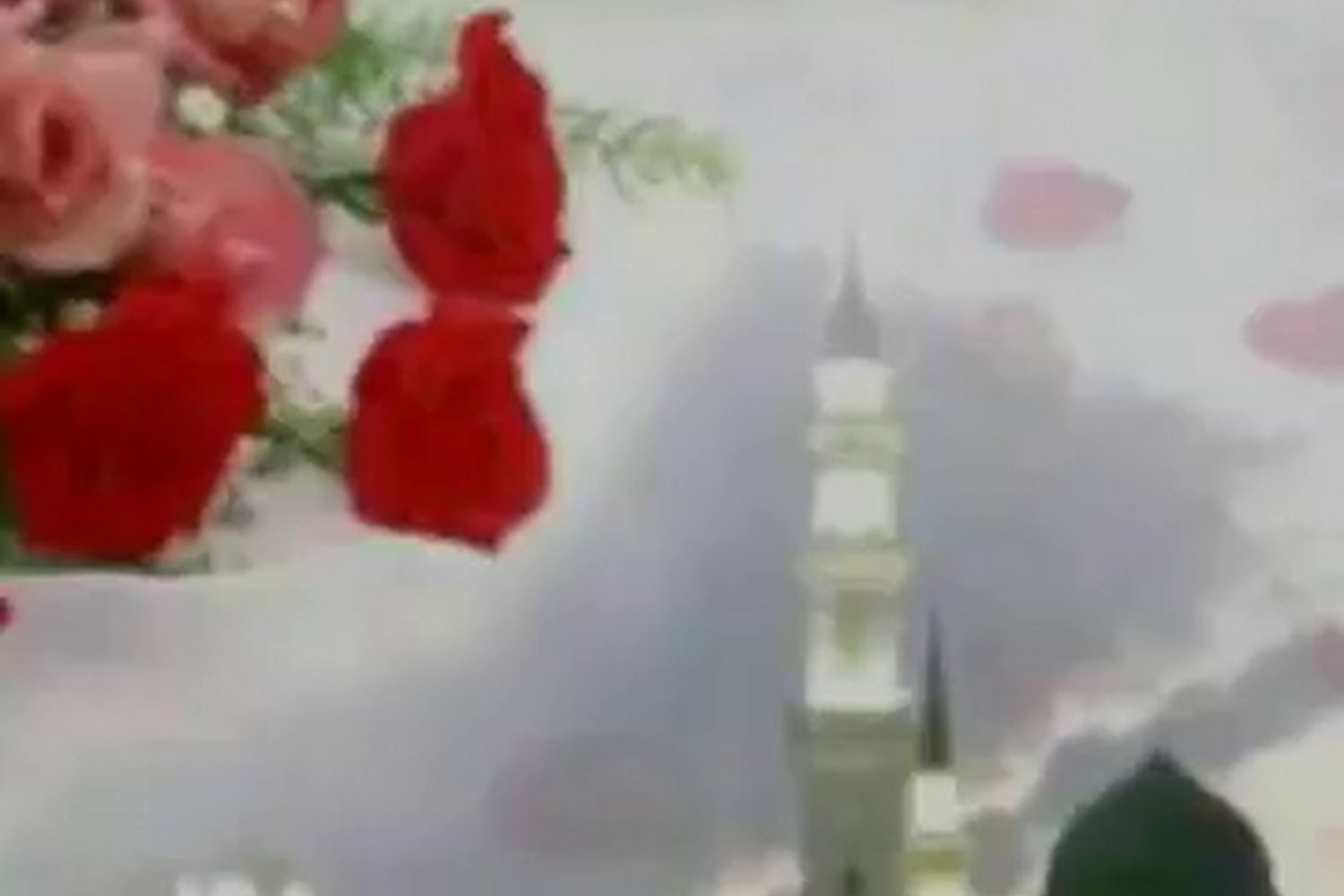 Stephen Memorial Animal Shelter