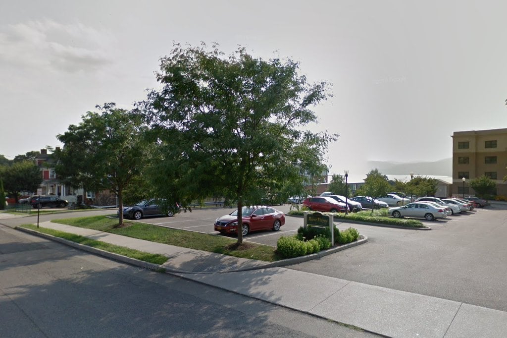 Little Orphan Animals