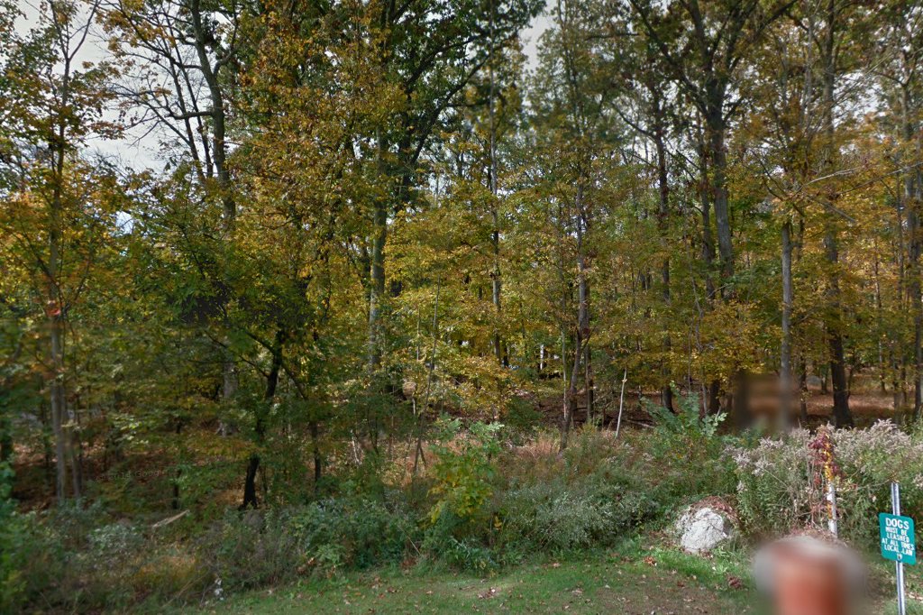 Rockland County Animal Shelter