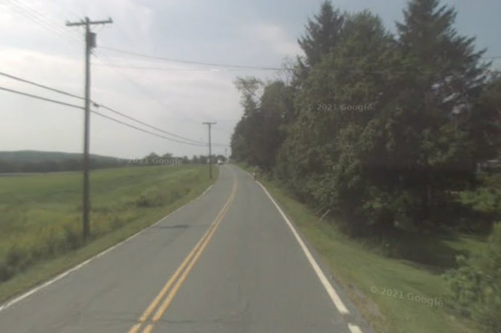 Stephentown Dog Control