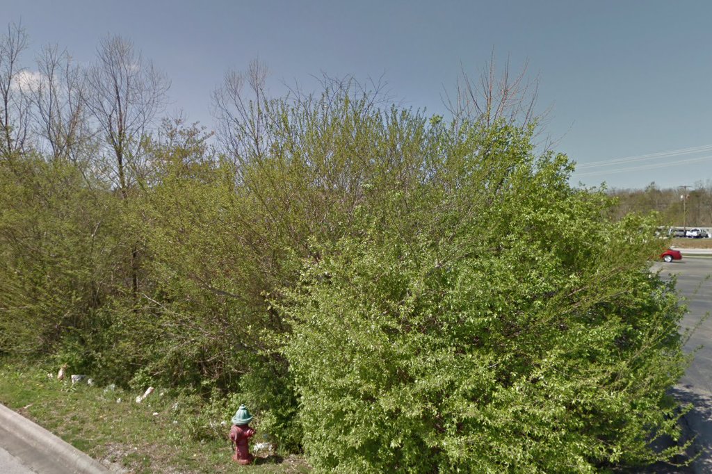 Best Friends Veterinary Hospital