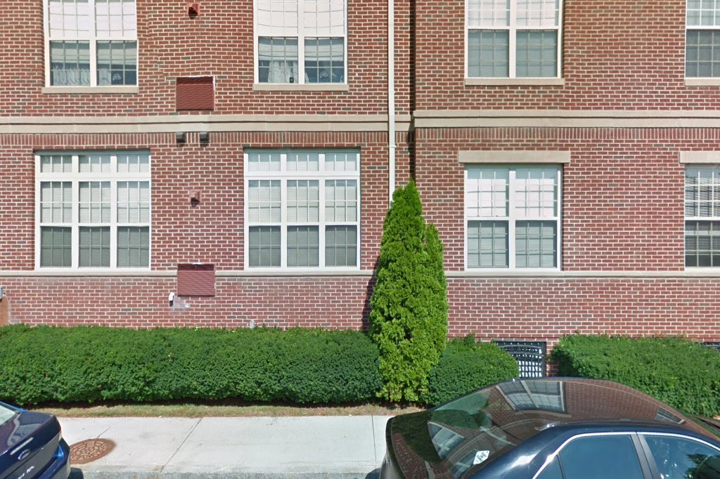 Newton Highlands Animal