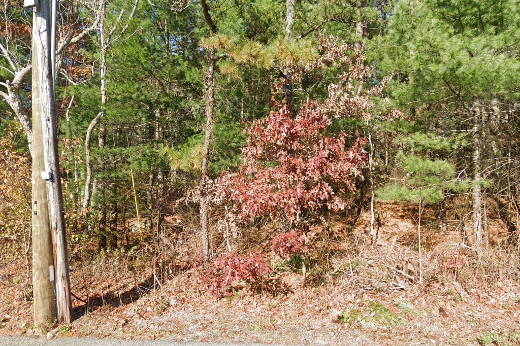 East Falmouth Animal Control