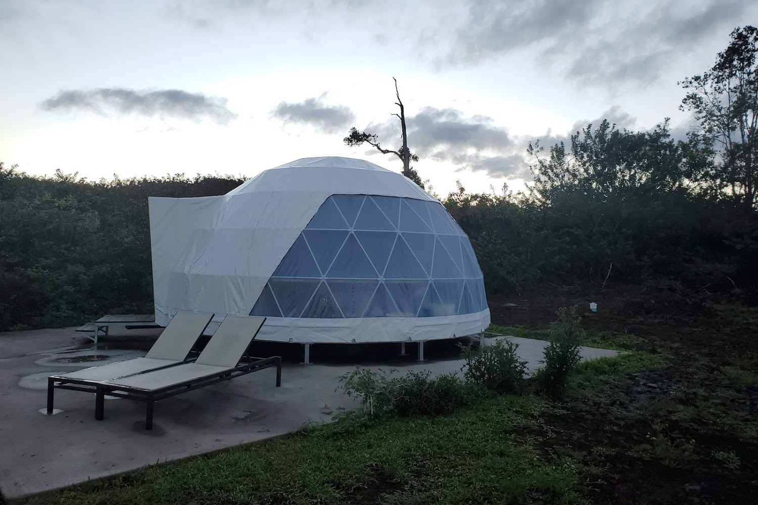 Three Ring Ranch, Inc.